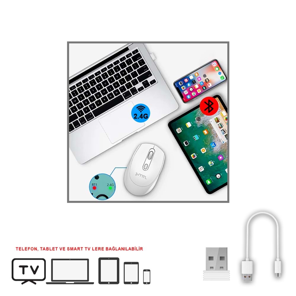 MT8122 BLUETOOTH & WİRELESS 2IN1 MOUSE /100