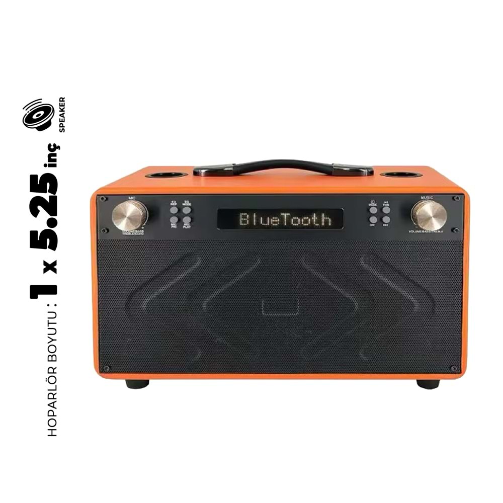 WGY-5503 5.25 İNÇ PARTYBOX KAREOKE BLUETOOTH SPEAKER