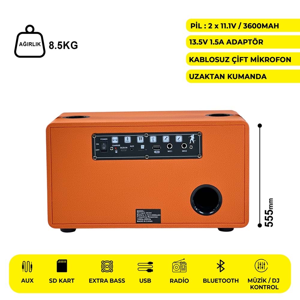 WGY-5503 5.25 İNÇ PARTYBOX KAREOKE BLUETOOTH SPEAKER