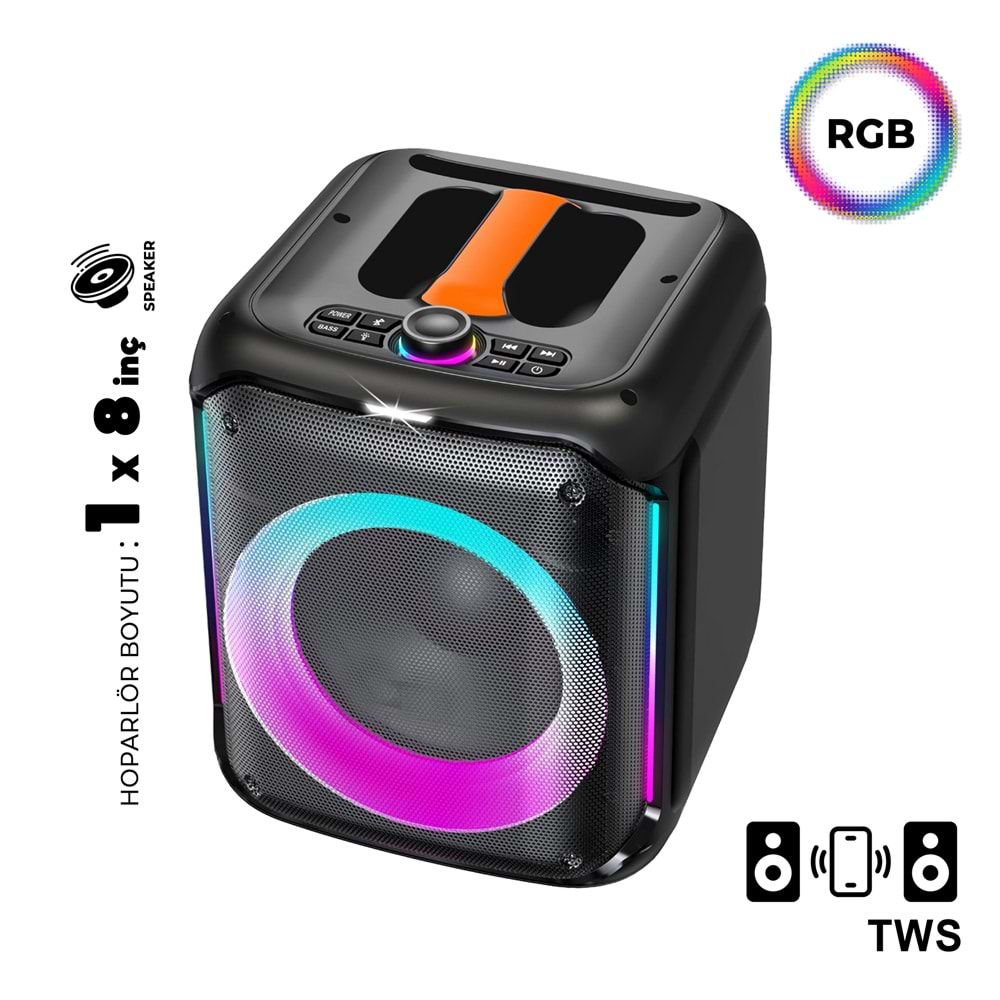 DP-1741 PLUS 8 İNÇ PARTYBOX KAREOKE BLUETOOTH SPEAKER