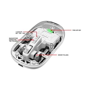 MT8119 BLUETOOTH & WİRELESS 3 in 1 MOUSE /100