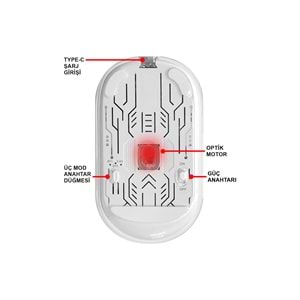 MT8119 BLUETOOTH & WİRELESS 3 in 1 MOUSE /100