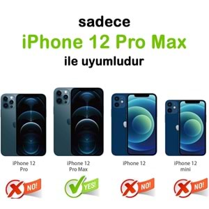 IPHONE 12 PRO MAX SAFİR LENS KORUMA - SILVER