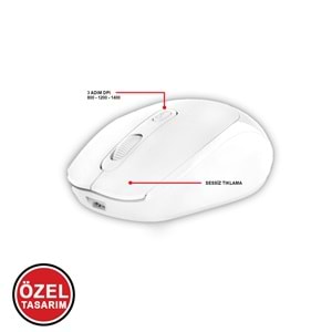 MT8122 BLUETOOTH & WİRELESS 2IN1 MOUSE /100