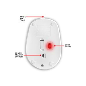 MT8122 BLUETOOTH & WİRELESS 2IN1 MOUSE /100