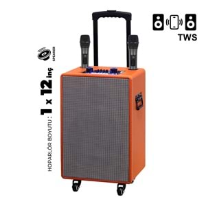 DR-19 12 İNÇ PARTYBOX KAREOKE BLUETOOTH SPEAKER