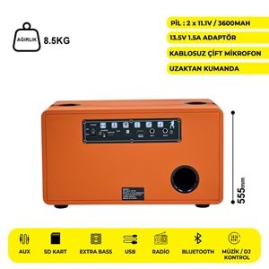 WGY-5503 5.25 İNÇ PARTYBOX KAREOKE BLUETOOTH SPEAKER