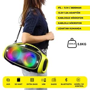 WGY-5502 2 X 5.25 İNÇ PARTYBOX KAREOKE BLUETOOTH SPEAKER