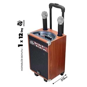 SZ-M1201 12 İNÇ PARTYBOX KAREOKE BLUETOOTH SPEAKER